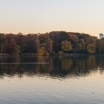 IMG_78711